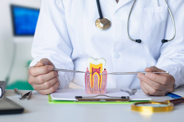 Best Emergency Denture Repair in Mount Morris, MI